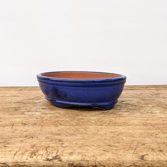 An elegant, oval-shaped glazed bonsai pot is captured in a centered, side-profile view against a clean, minimalist off-white background. The ceramic pot features a deep, vibrant cobalt blue glaze with a high-gloss, reflective finish. Its design includes a subtle decorative rim around the top and a matching ridge near the bottom, resting on small integrated "cloud" feet. While the exterior is brightly colored, the interior is left unglazed, revealing the natural reddish-brown terracotta clay. The pot sits on a rustic, light-colored wooden surface with a prominent grain and weathered texture. This shallow blue glazed bonsai pot, available from Bonsai Outlet, is ideal for showcasing small to medium-sized bonsai trees.