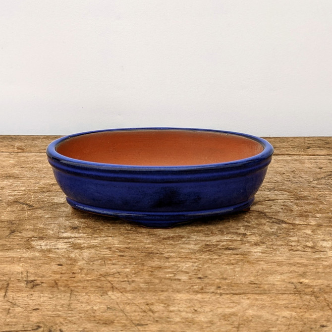 A side-angle view of a shallow, oval blue glazed bonsai pot resting on a rustic wooden surface. The exterior of the ceramic container is finished in a vibrant, deep cobalt blue glaze with a glossy sheen and subtle variations in color, giving it a handmade feel. A distinctive horizontal ridge wraps around the center of the pot's exterior for added texture. 

The interior remains unglazed, showing the warm, natural terracotta-brown color of the clay. The pot features small, integrated feet at the base to allow for proper drainage and stability. It is positioned on a weathered wooden table characterized by visible wood grains and surface scratches, set against a minimalist off-white background that highlights the pot's elegant form and striking blue color.