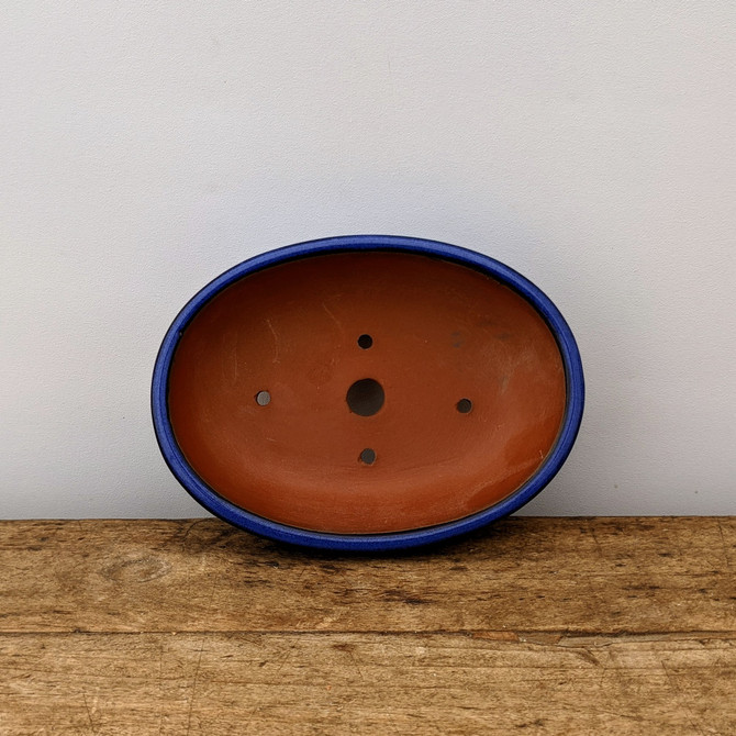 A front-facing view of an oval-shaped bonsai pot with a striking cobalt blue glazed rim and exterior. The interior is unglazed, showing a rustic reddish-brown terracotta clay. Centered in the bottom are one large drainage hole and four smaller wiring holes, essential features for bonsai cultivation. The pot sits on a textured, horizontal wooden board against a plain white background, emphasizing its sleek design and deep color.