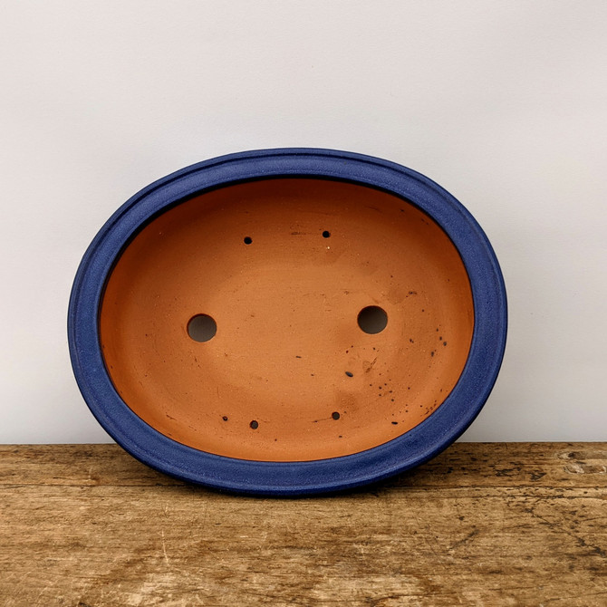 盆栽 jolly 0004_bonsaiM_matsu1_1600x.png?