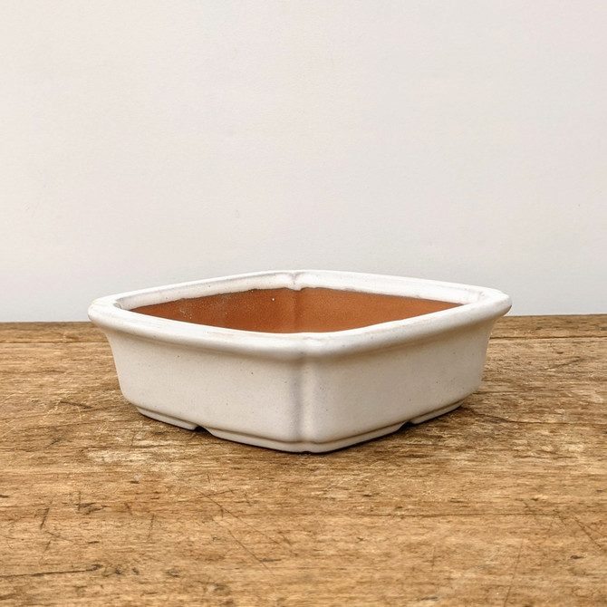 6" White Glazed Yixing Bonsai Pot (No. 1941)