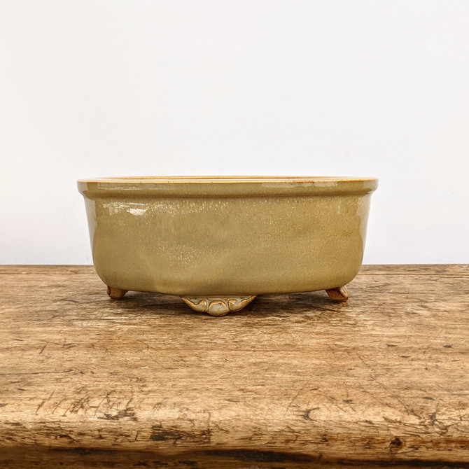 8" Glazed Yixing Bonsai Pot (No. 1880a)