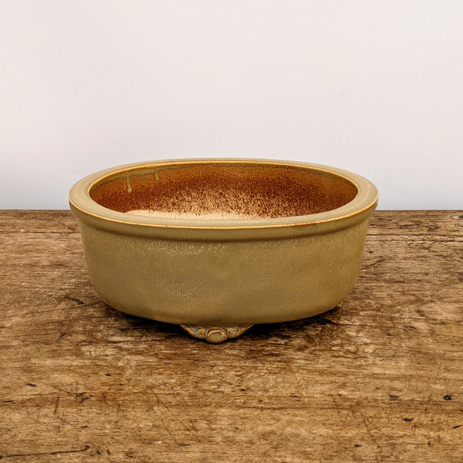 8" Glazed Yixing Bonsai Pot (No. 1880a)