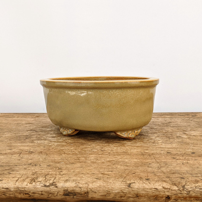 8" Glazed Yixing Bonsai Pot (No. 1880a)