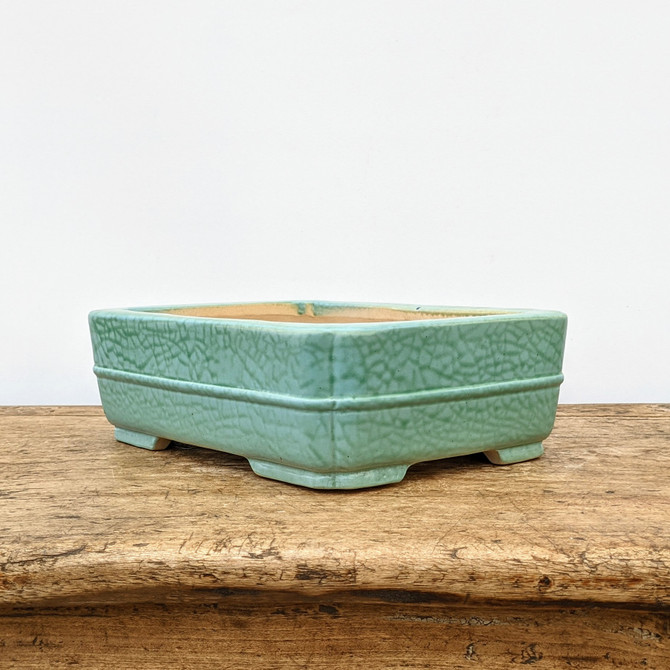 10" Light Green Glazed Yixing Bonsai Pot (No. 1846h)