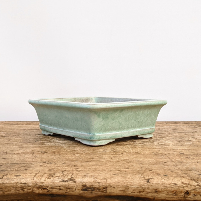 7" Light Green Glazed Yixing Bonsai Pot (No. 1901)