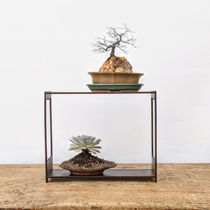 Bonsai and Succulent Display Table  (No. 63)