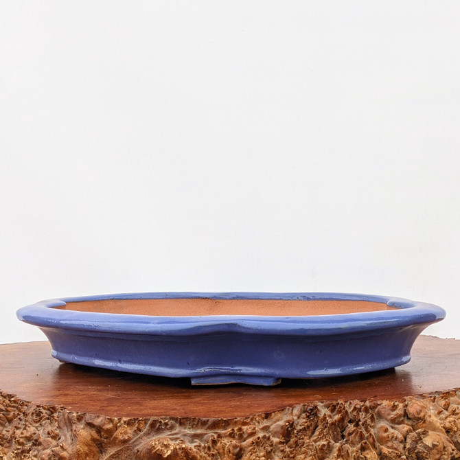 19" Light Blue Glazed Shallow Bonsai Pot (No. 121) 19" Light Blue Glazed Shallow Bonsai Pot (No. 121)
