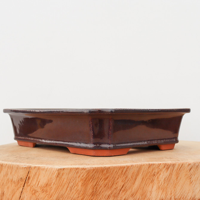 10" Glazed Yixing Bonsai Pot (No. 1111d)