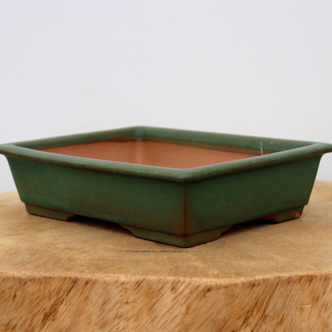 8" Green Glazed Yixing Bonsai Pot (No. 1091b)