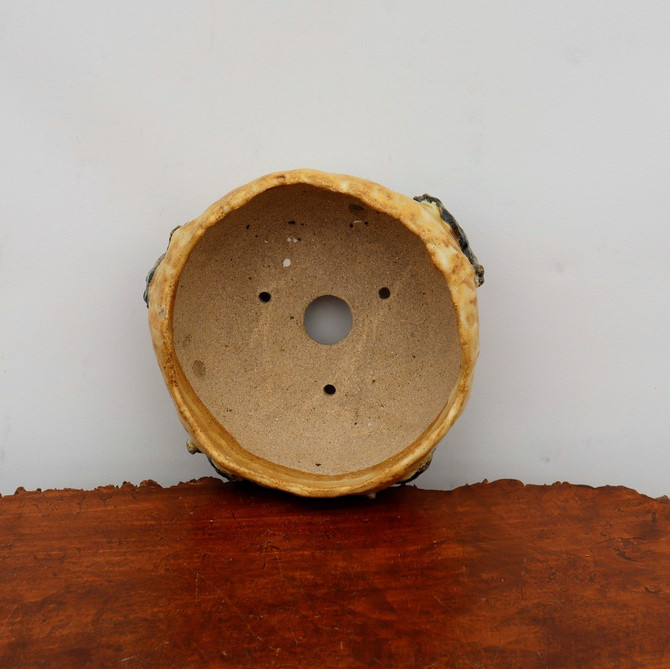 6" Terre O Vert Handmade Planter (No. 60)