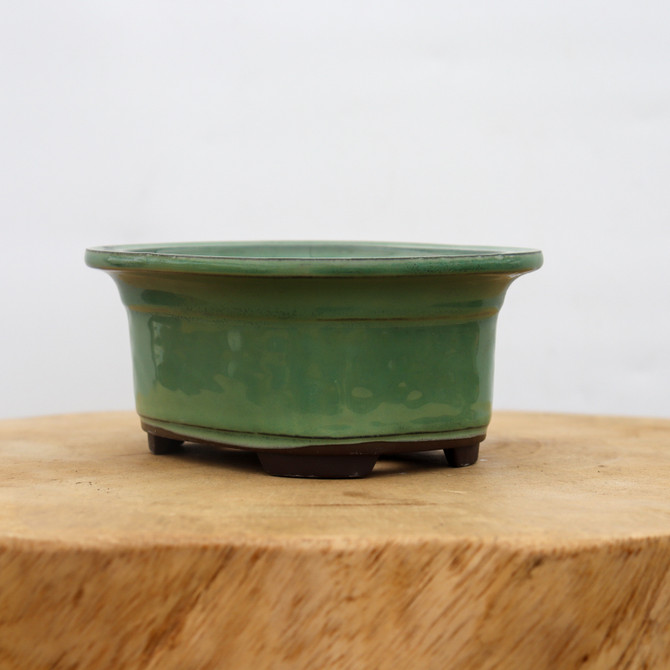 6" Green Glazed Japanese Bonsai Pot (No. 2937)