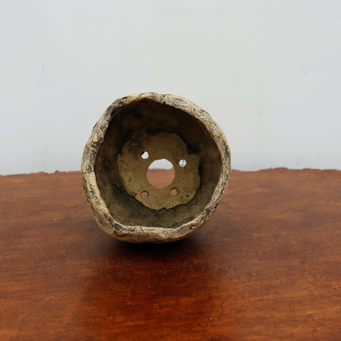 5" Terre O Vert Handmade Planter (No. 77)