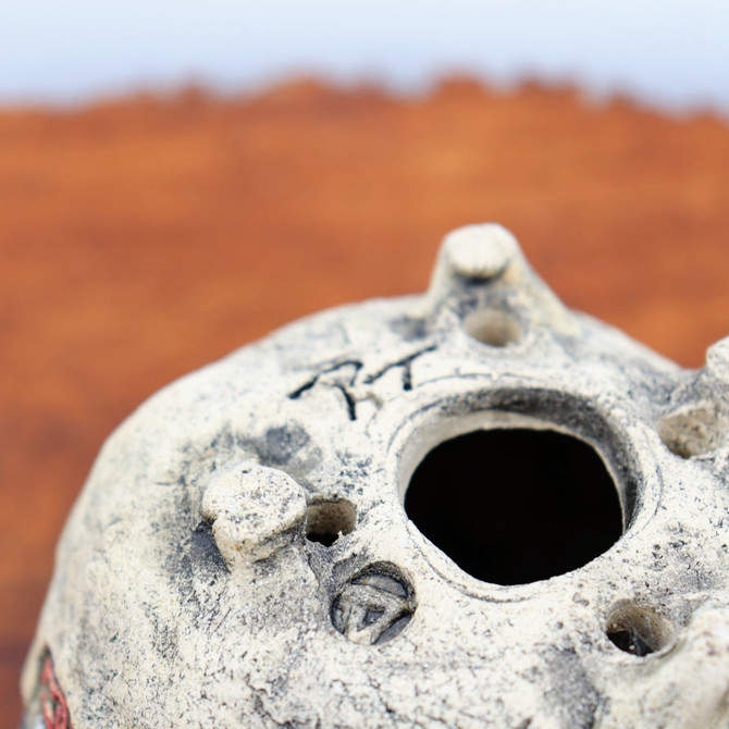 5" Terre O Vert Handmade Planter (No. 77)