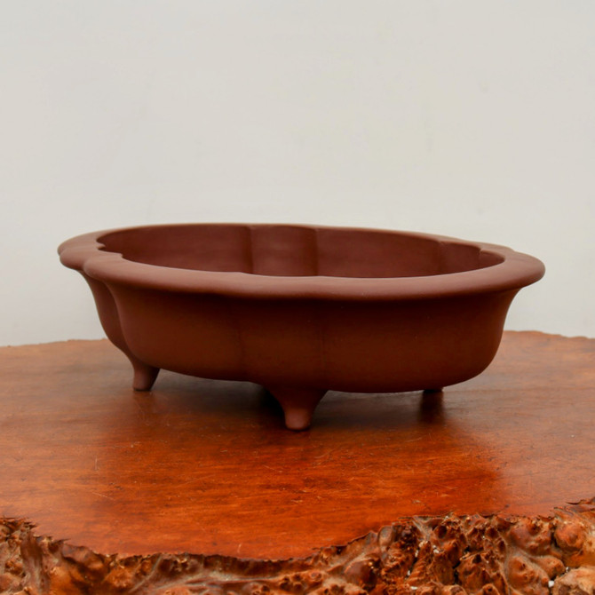 A horizontal photograph of a traditional Yixing unglazed bonsai pot, crafted from classic reddish-brown purple clay. The vessel features a distinctive mokkou (lobed flower) shape with four gentle curves along its wide rim and body, creating a soft, cloud-like silhouette. Its unglazed surface has a smooth, matte finish that highlights the natural beauty of the clay. The pot is elevated by four small, rounded, stubby feet for drainage and aesthetic balance. It sits atop a highly textured, polished wood burl display stand with a rugged, irregular natural edge. The entire scene is set against a minimalist, neutral off-white background, emphasizing the artisanal craftsmanship and elegant form of the bonsai pot.