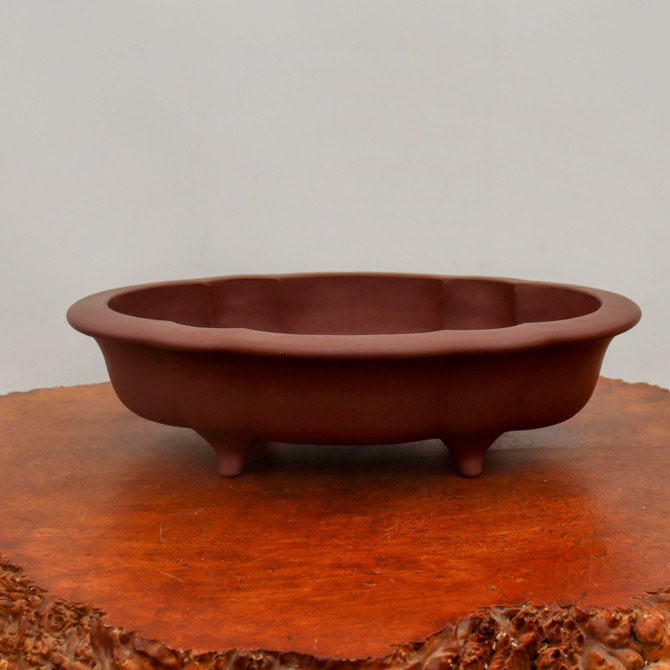 A detailed, side-view photograph of a premium Yixing unglazed bonsai pot, showcasing its rich, deep reddish-brown terracotta color and smooth matte finish. The pot is elegantly crafted with an oval shape and features a distinctive lobed or scalloped rim that adds a touch of classic Chinese design. This shallow ceramic vessel is supported by four small, rounded feet that elevate it slightly. The pot is displayed on a rustic, polished wooden slab with a warm orange-brown grain and a natural, uneven edge, creating a beautiful contrast between the smooth clay and the textured wood. The background is a neutral, light-colored wall, ensuring all focus remains on the exquisite craftsmanship and traditional style of this Yixing clay bonsai pot, which is highly prized by collectors for its durability and aesthetic appeal.