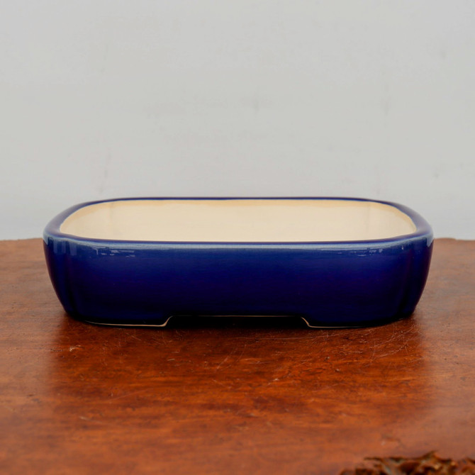 A front-facing, eye-level photograph captures a rectangular, glazed ceramic bonsai pot resting on a rustic wooden surface. The pot’s exterior is finished in a vibrant, glossy cobalt blue glaze that catches the light, while the interior is a smooth, contrasting cream or off-white color. Its design features soft, rounded corners and gently bowed sides, giving it an elegant, classic silhouette. The pot sits on a slightly recessed base with four small, integrated feet, a common feature in functional bonsai containers to allow for proper drainage. The dark, textured wood grain of the tabletop highlights the pot's deep blue hue, while the clean, neutral off-white background keeps the focus entirely on the craftsmanship and color of the glazed bonsai pot.