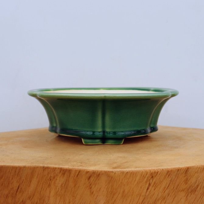 8" Green Glazed Yixing Bonsai Pot (No. 2064)