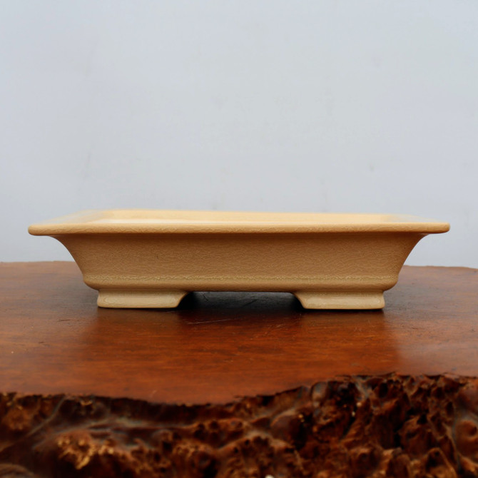 11" Cream Glazed Yixing Bonsai Pot (No. 2116)