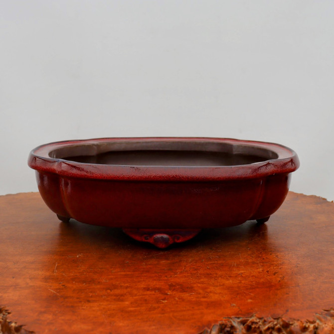 14" Red Glazed Yixing Bonsai Pot (No. 2101)