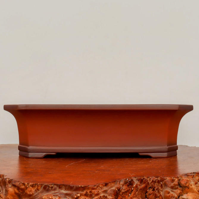 A professional-grade rectangular unglazed bonsai pot crafted from smooth, reddish-brown ceramic with a matte finish. The pot features a traditional design with subtly flared sides leading to a wide top rim and clipped corners, giving it a refined octagonal silhouette. It sits on a defined base with integrated corner feet, designed for stability and proper drainage. The pot is showcased on a polished, natural-edged wooden display stand against a neutral, off-white background, highlighting its clean lines and earthy tones, which are ideal for complementing a variety of bonsai tree styles.