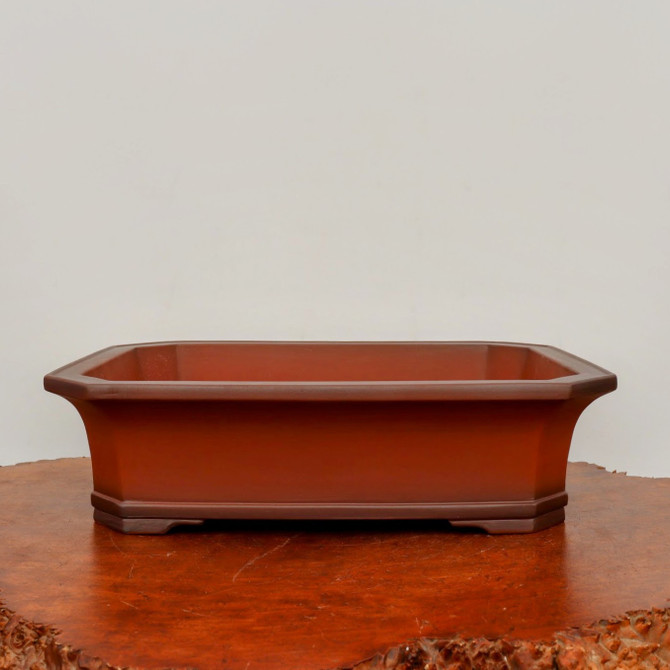 A high-quality, unglazed rectangular bonsai pot with clipped corners, crafted from smooth, reddish-brown clay. This traditional bonsai container features an elegant, slightly flared rim and a matching stepped base with small, integrated feet. The pot's deep, warm terracotta color and matte finish suggest a classic aesthetic suitable for various tree styles. It is pictured from a straight-on eye-level perspective, resting on a polished burl wood stand with an irregular natural edge. The clean, off-white background ensures all focus is on the pot's fine craftsmanship and geometric detail, making it an ideal choice for enthusiasts looking for a durable and breathable unglazed bonsai pot.