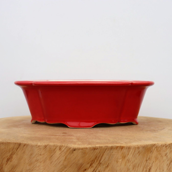 9" Red Glazed Yixing Bonsai Pot (No. 2104)