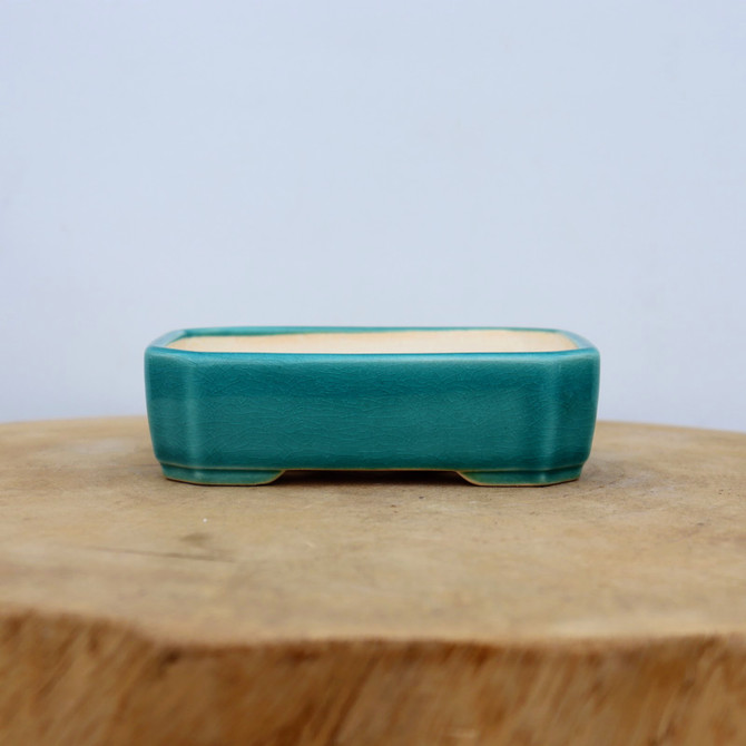 5-Inch Glazed Yixing Bonsai Pot (No. 2025)