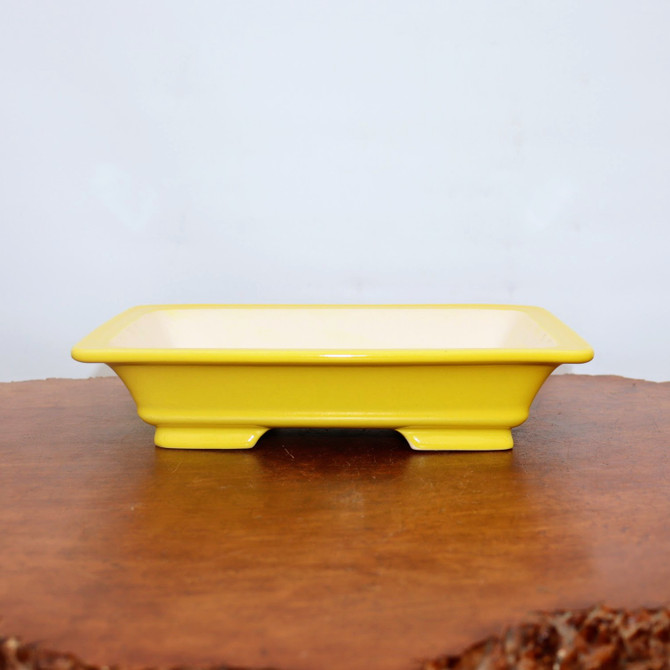 11" Yellow Glazed Yixing Bonsai Pot (No. 2112)