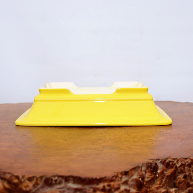 11" Yellow Glazed Yixing Bonsai Pot (No. 2112)