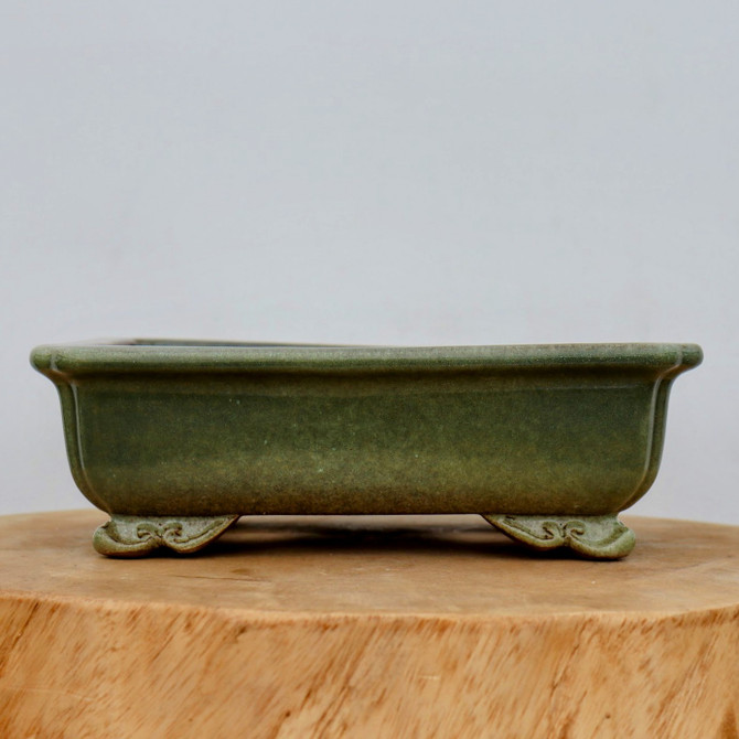 10-Inch Green Glazed Yixing Bonsai Pot (No. 2403c)