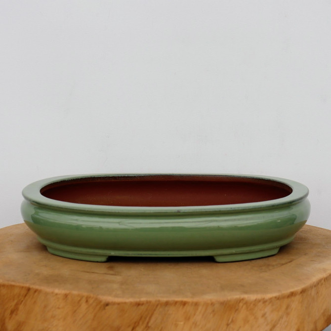 11-Inch Green Glazed Yixing Bonsai Pot (No. 2406d)