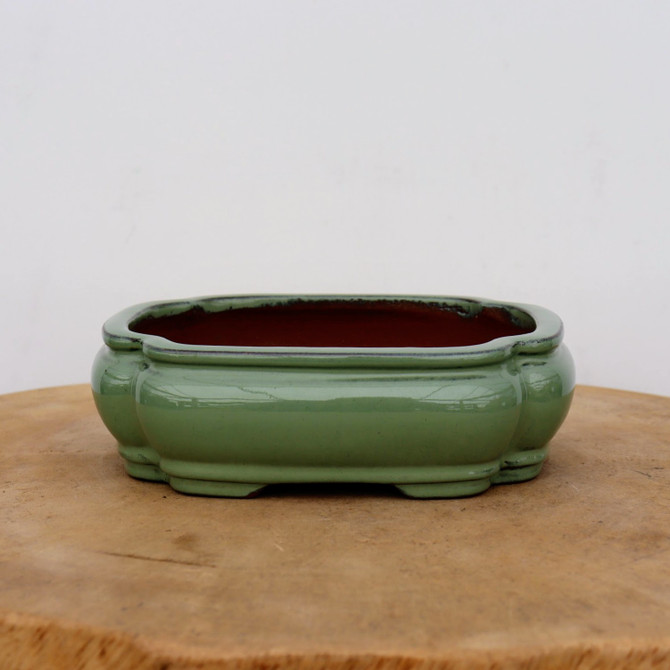 6-Inch Green Glazed Yixing Bonsai Pot (No. 2397a)
