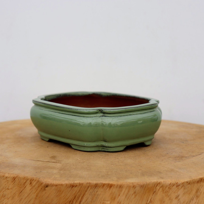 6-Inch Green Glazed Yixing Bonsai Pot (No. 2397a)