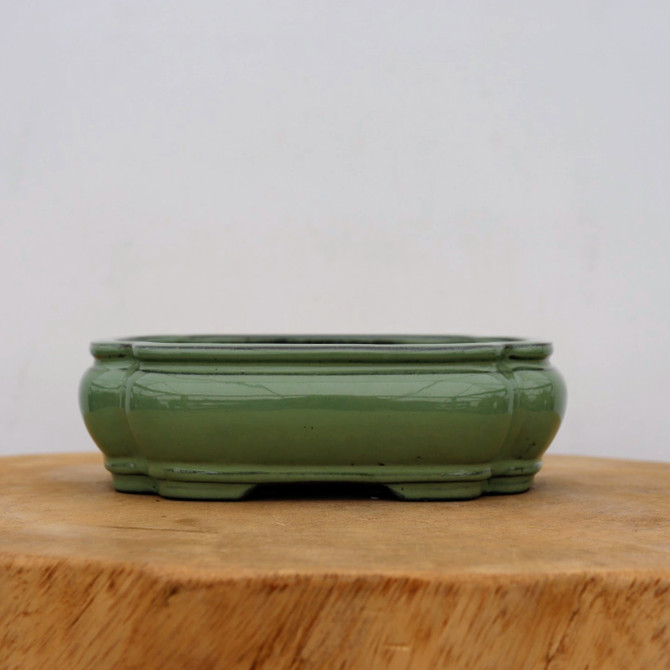 6-Inch Green Glazed Yixing Bonsai Pot (No. 2397d)