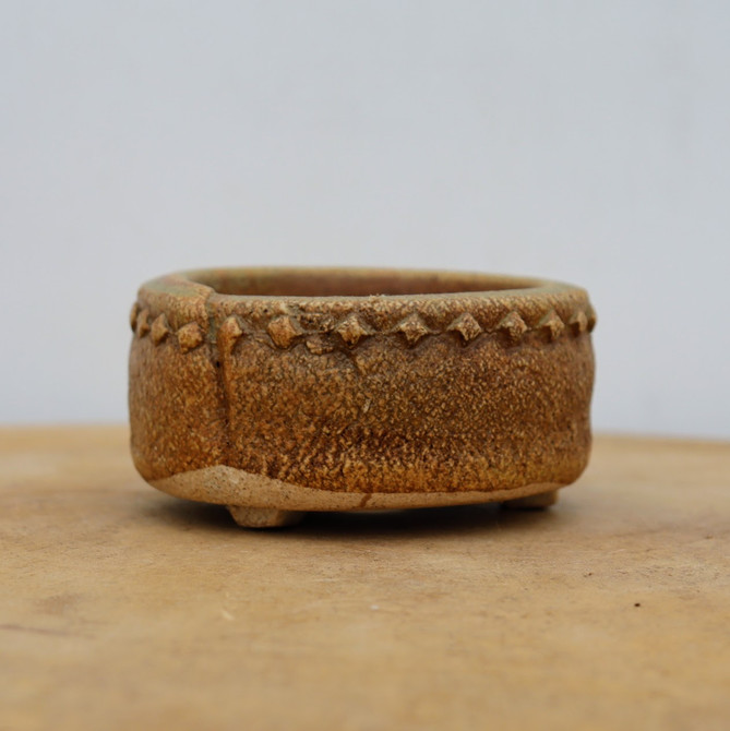 3" Handmade Pot and Succulent Planter (No. 1020)