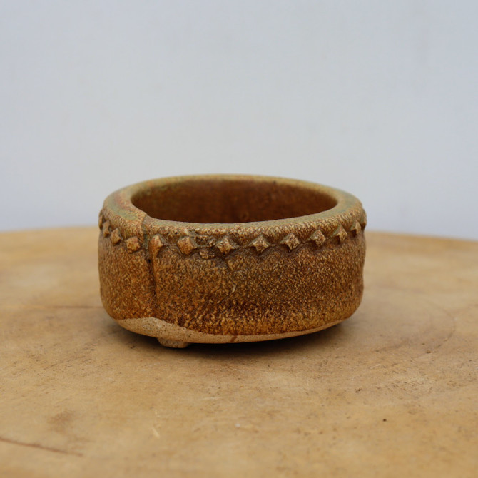 3" Handmade Pot and Succulent Planter (No. 1020)