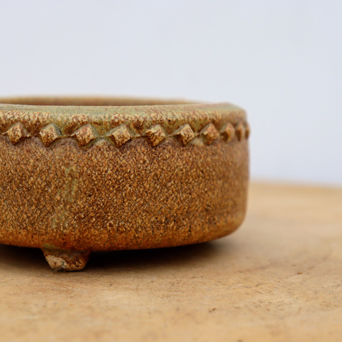 3" Handmade Pot and Succulent Planter (No. 1020)