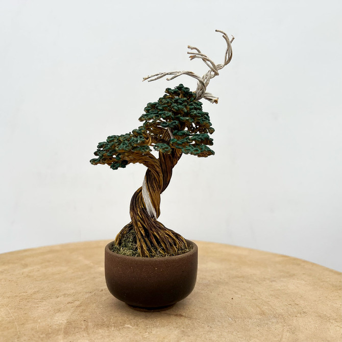 Rick Stursky Wire Bonsai Tree Sculpture - Tim Shoup Collection