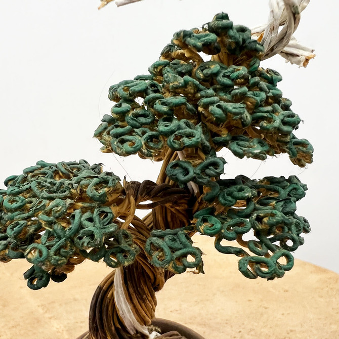 Rick Stursky Wire Bonsai Tree Sculpture - Tim Shoup Collection