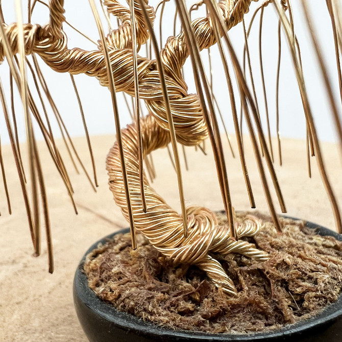  Wire Bonsai Tree Sculpture - Tim Shoup Collection
