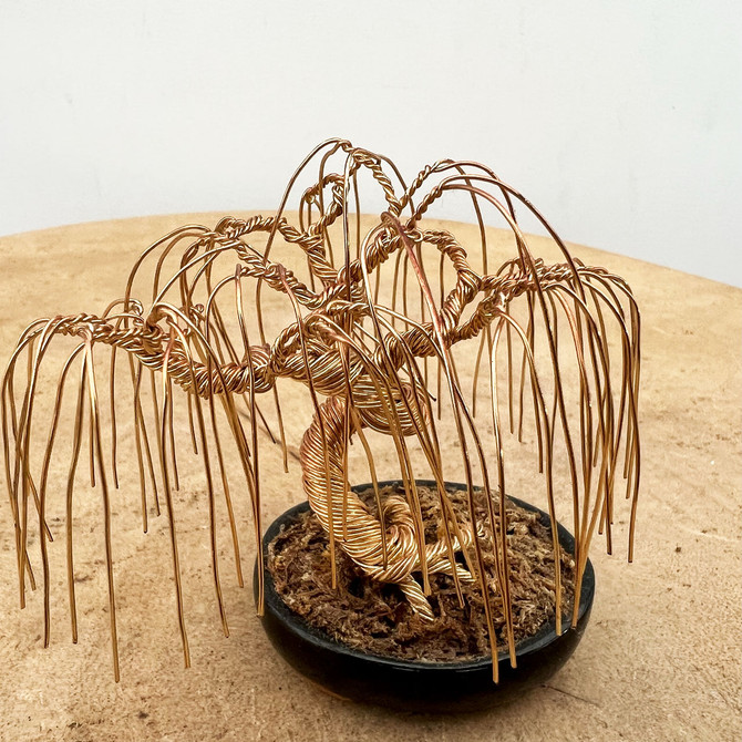  Wire Bonsai Tree Sculpture - Tim Shoup Collection