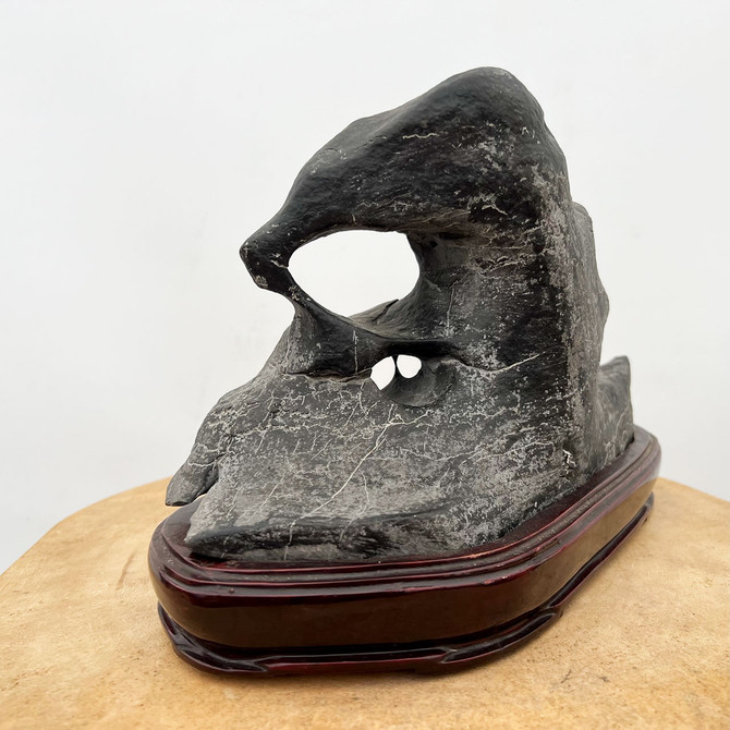 Suiseki Viewing Stone From Tim Shoup Collection (11" x 8")