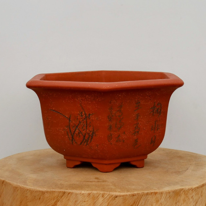 11" Etched Yixing Bonsai Pot (No. 2244)