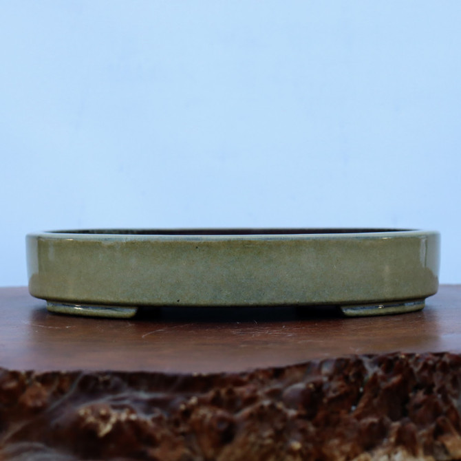 12-Inch Glazed Yixing Bonsai Pot (No. 2302d)