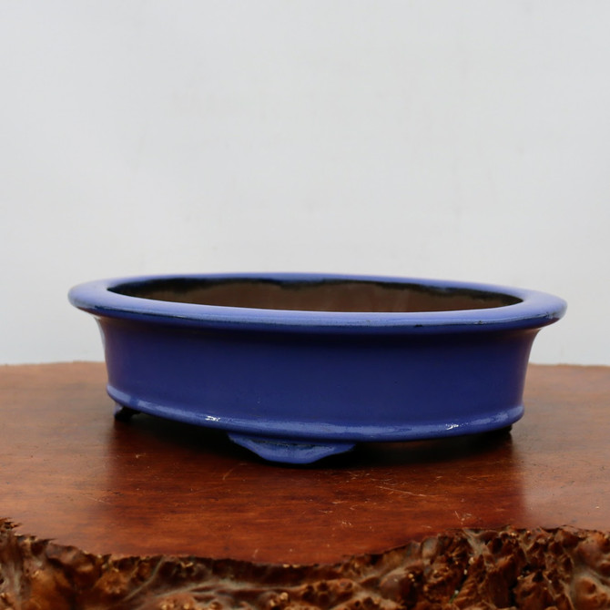13-Inch Glazed Yixing Bonsai Pot (No. 2299b)