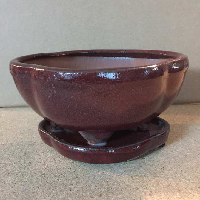 8" Pot & Fixed Tray (808-SA)