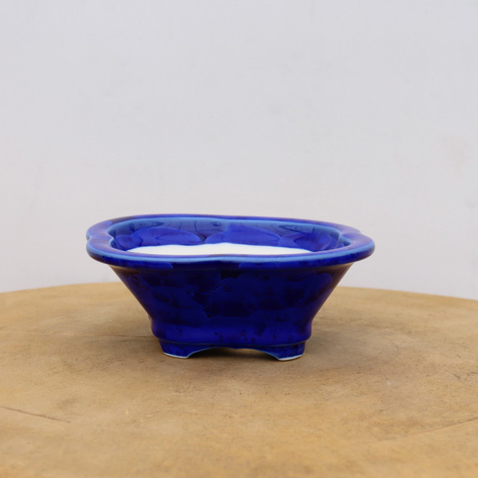 6" Glazed Tokoname Pot - Senzan  (No. 1567)