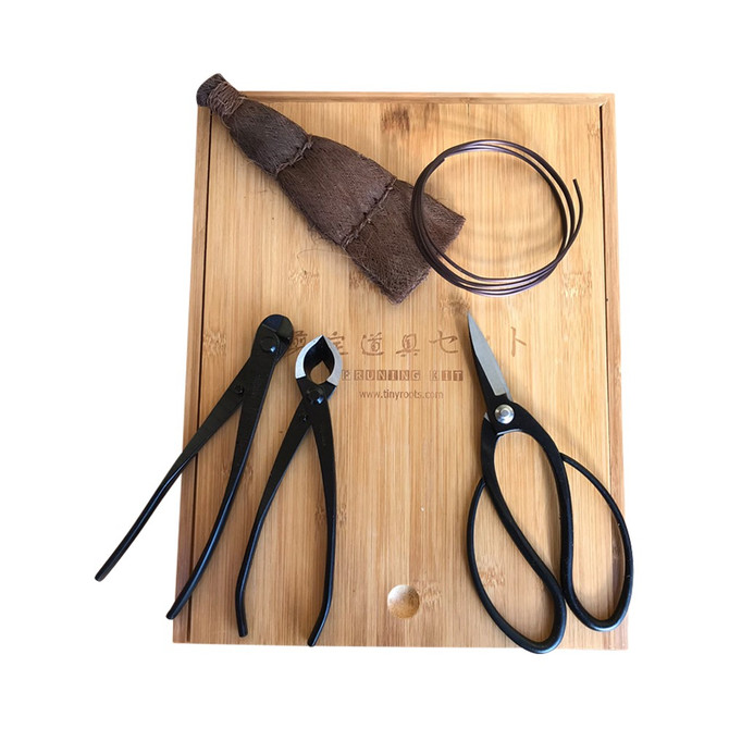 Tinyroots 5-Piece Carbon Steel Pruning Kit