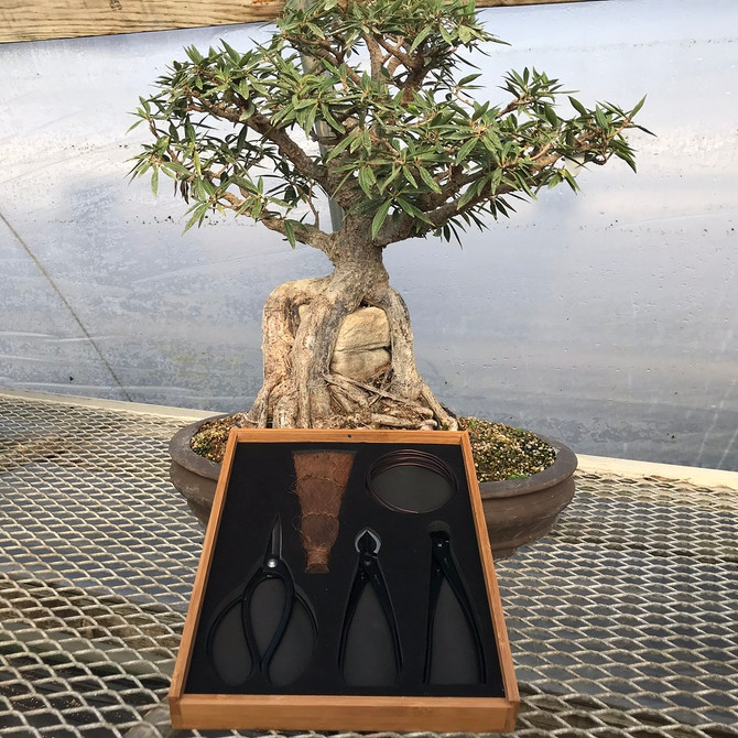 Tinyroots 5-Piece Carbon Steel Pruning Kit